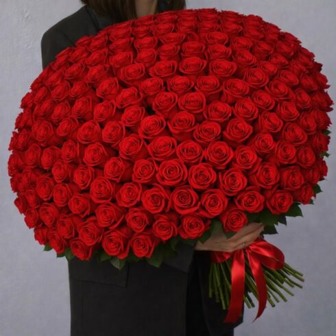 Luxury large bouquet of premium red roses hand-tied with red ribbon by BLOOMSI