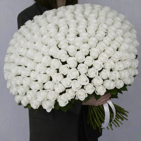 Premium white roses large hand-tied bouquet with white ribbon by BLOOMSI